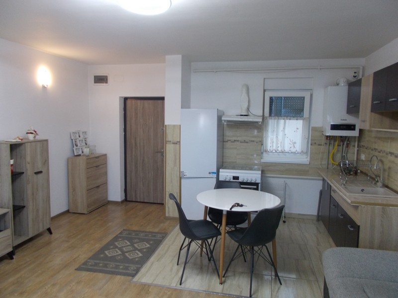 imobiliare timisoara
