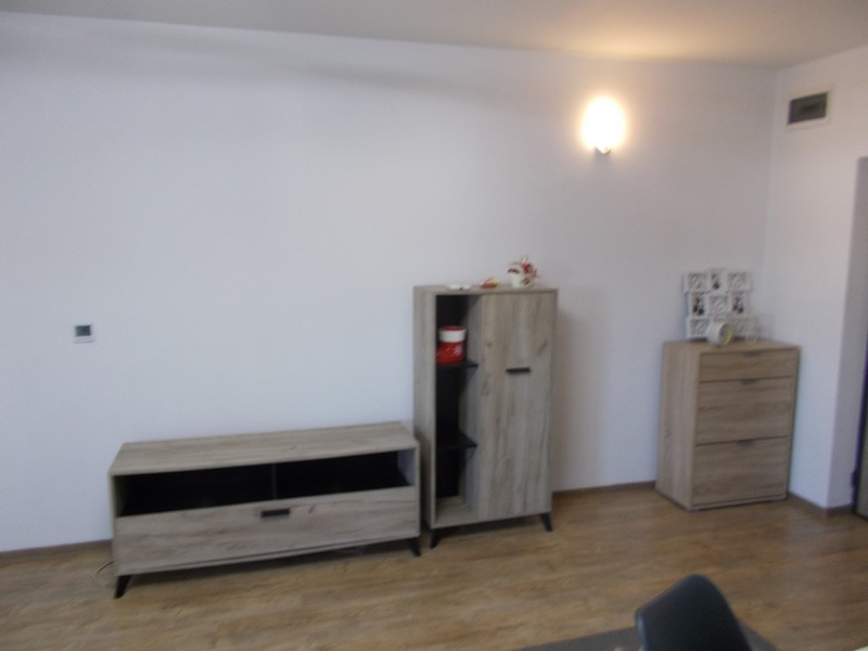 imobiliare timisoara