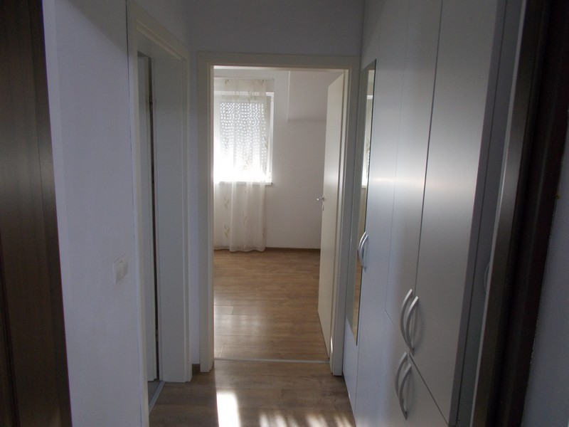 imobiliare timisoara