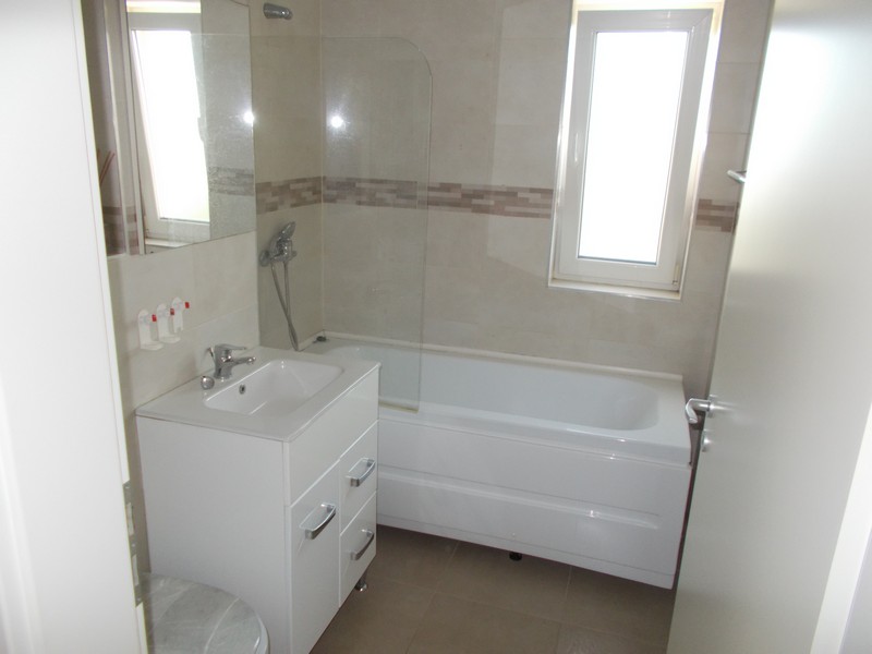 imobiliare timisoara