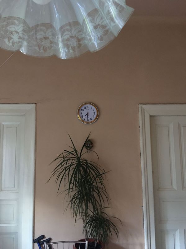 imobiliare timisoara