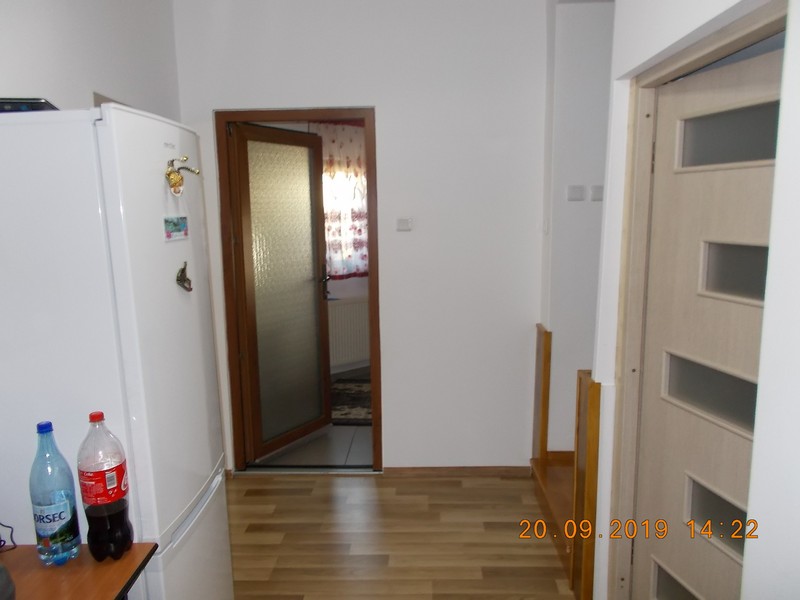 imobiliare timisoara