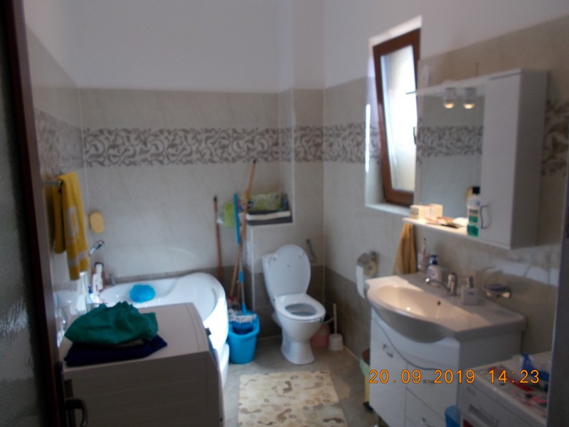 imobiliare timisoara