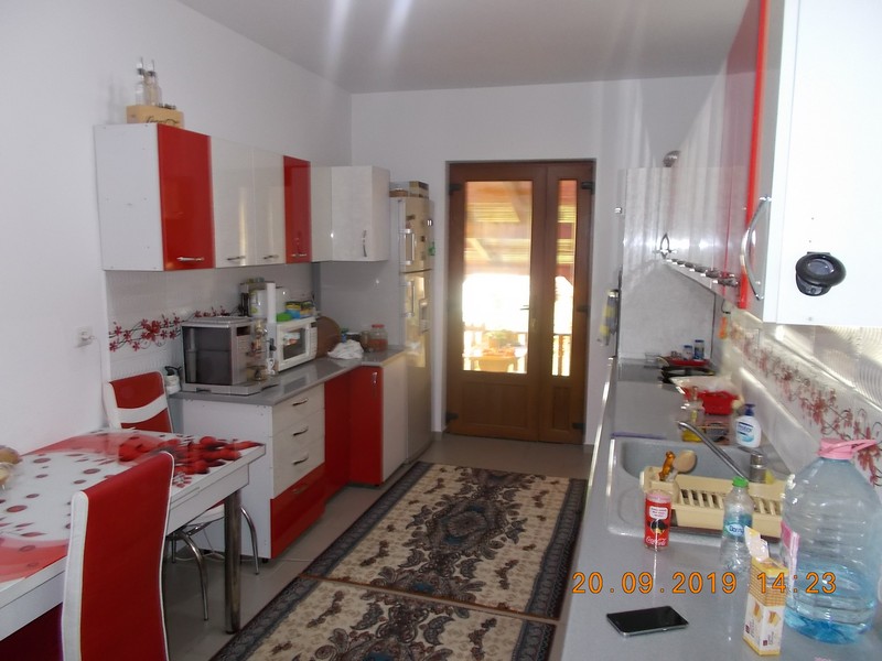 imobiliare timisoara