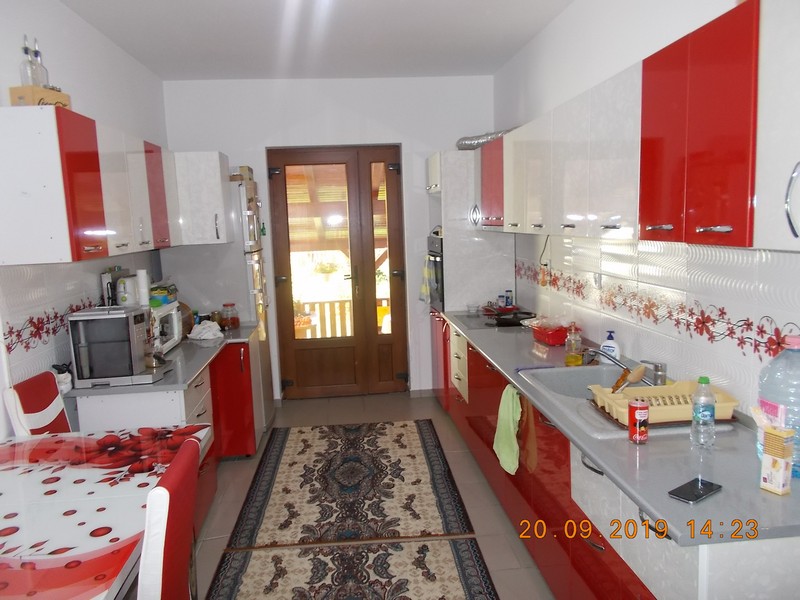 imobiliare timisoara