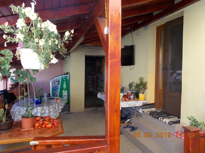 imobiliare timisoara