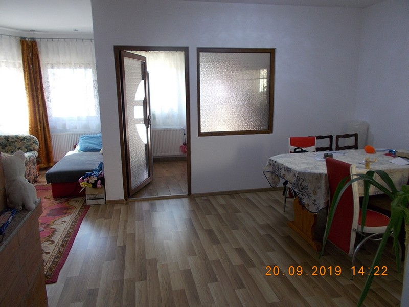 imobiliare timisoara