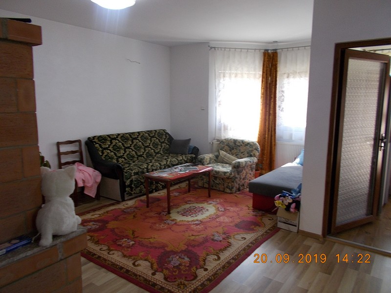 imobiliare timisoara