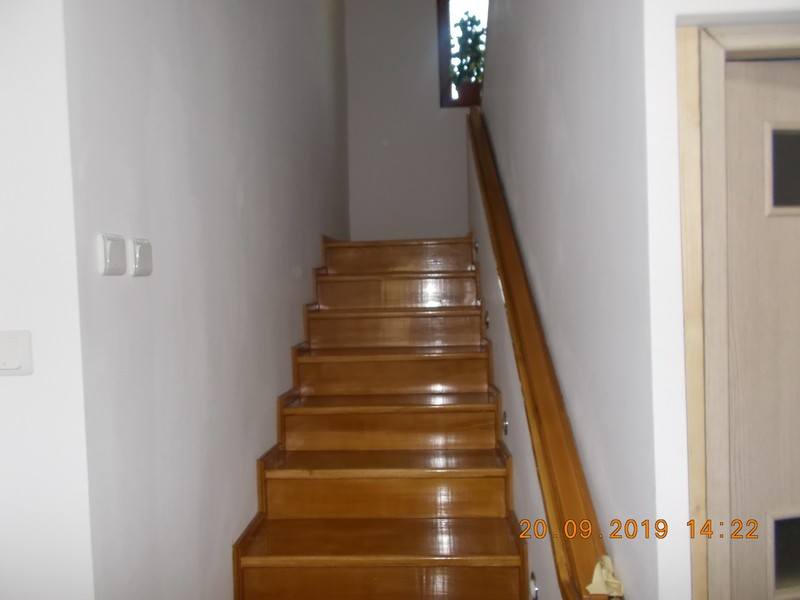 imobiliare timisoara