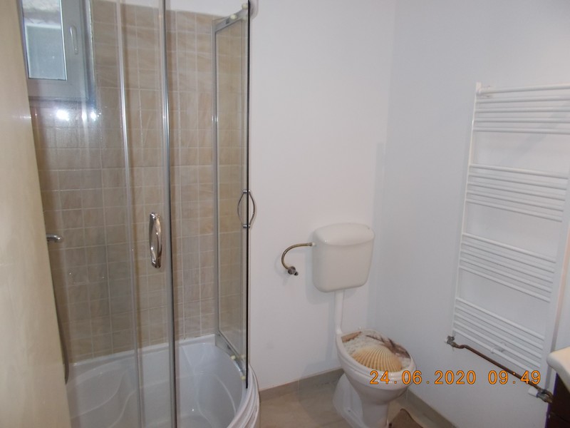 imobiliare timisoara