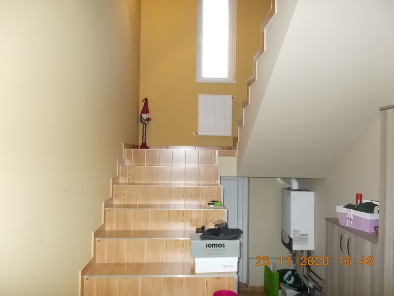 imobiliare timisoara
