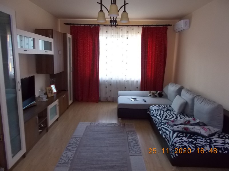 imobiliare timisoara
