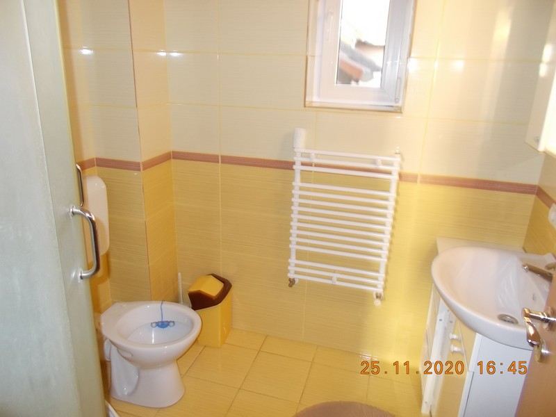 imobiliare timisoara