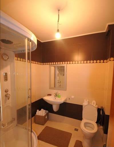 imobiliare timisoara
