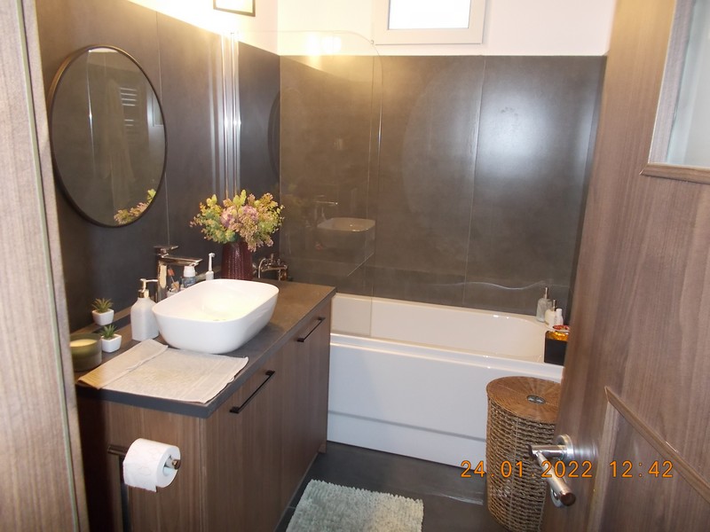 imobiliare timisoara