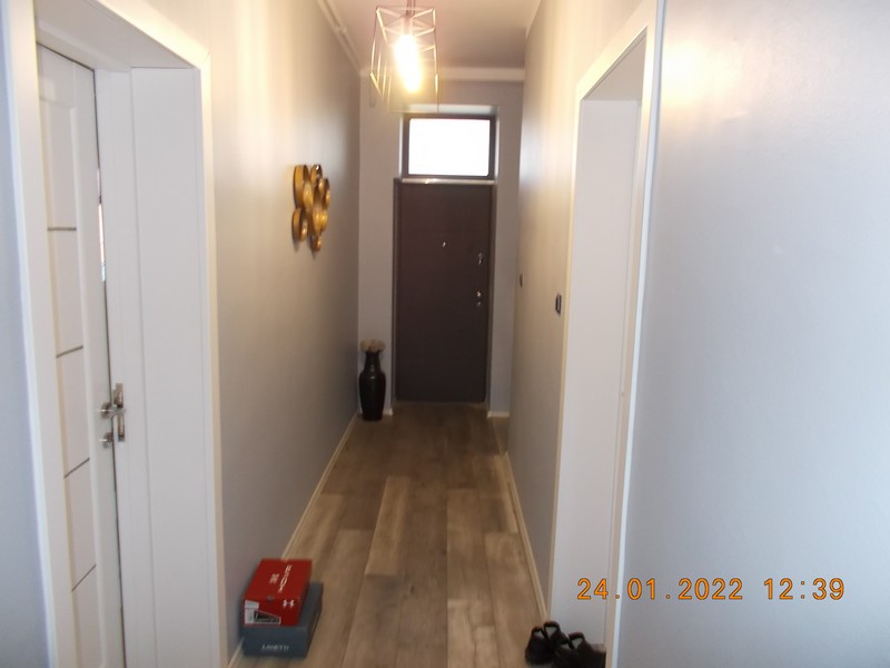 imobiliare timisoara