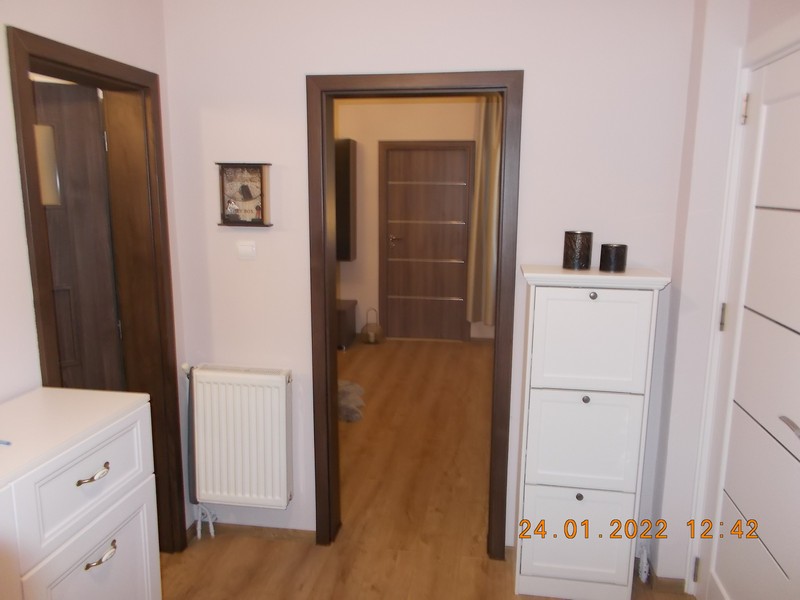 imobiliare timisoara