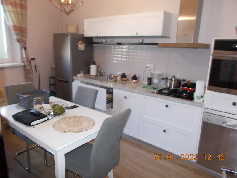 imobiliare timisoara
