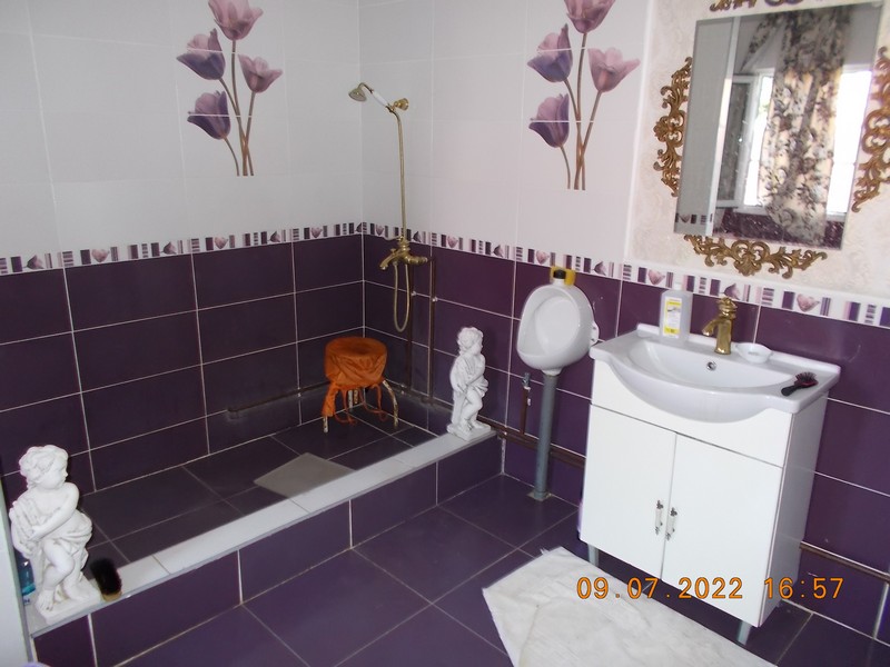 imobiliare timisoara