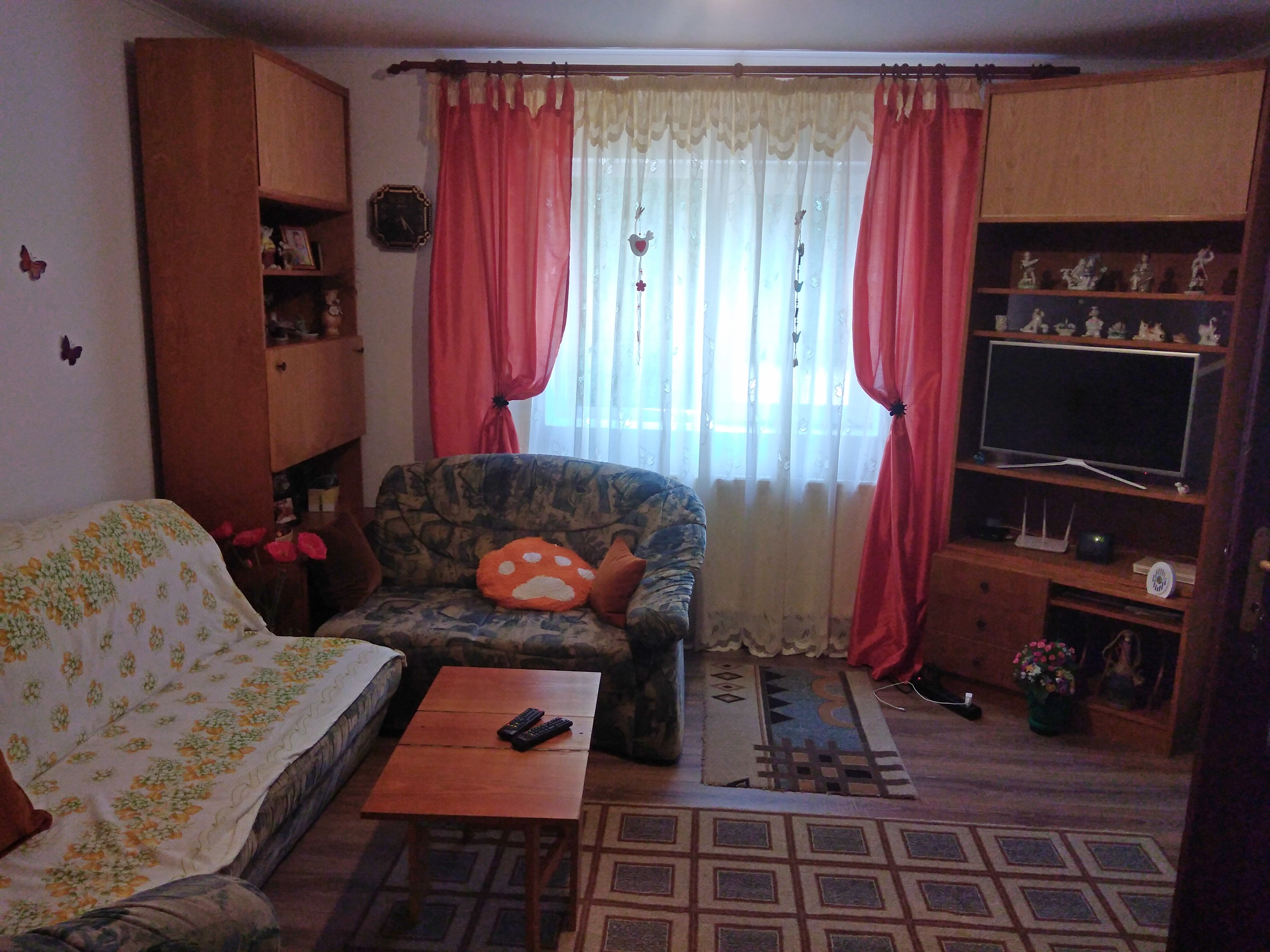 imobiliare timisoara