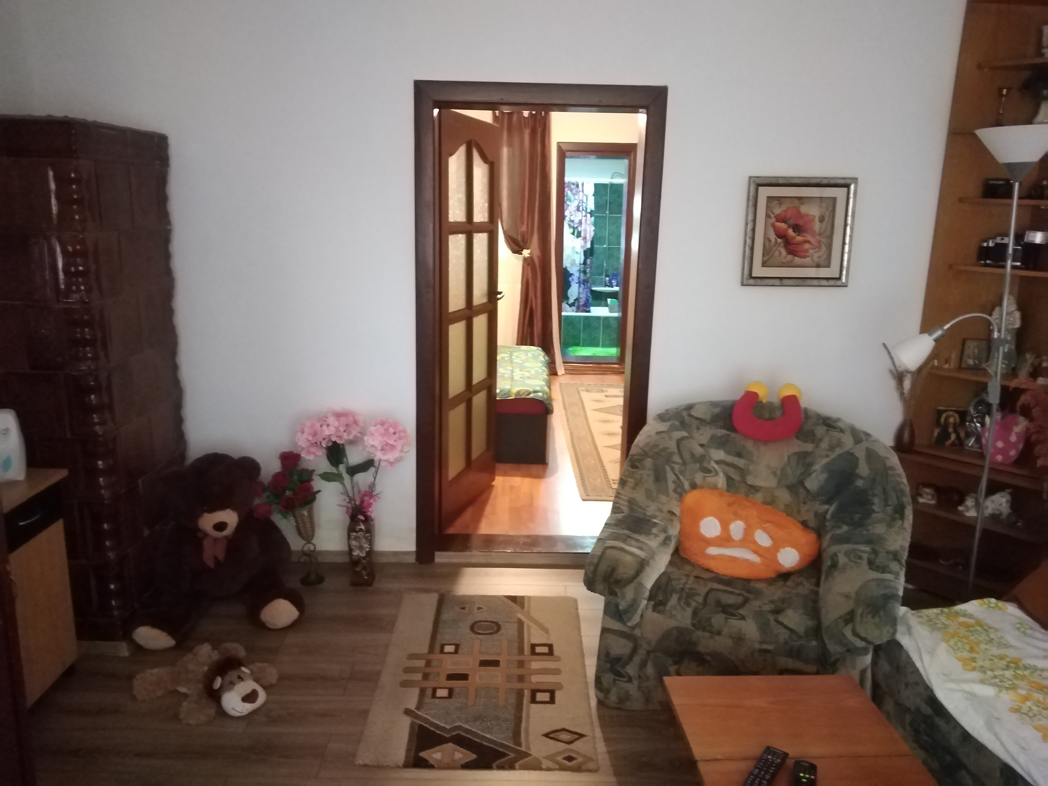 imobiliare timisoara