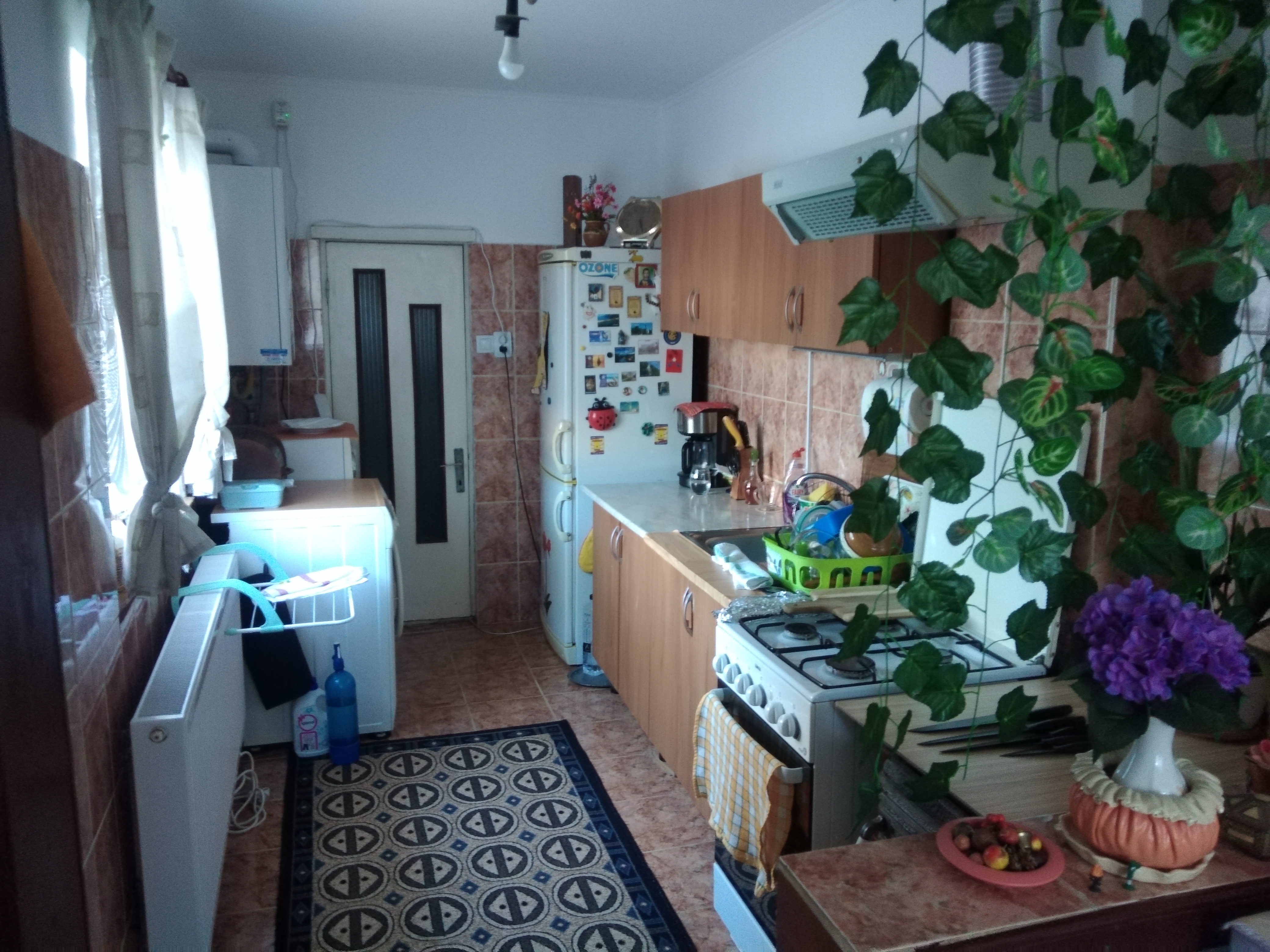 imobiliare timisoara