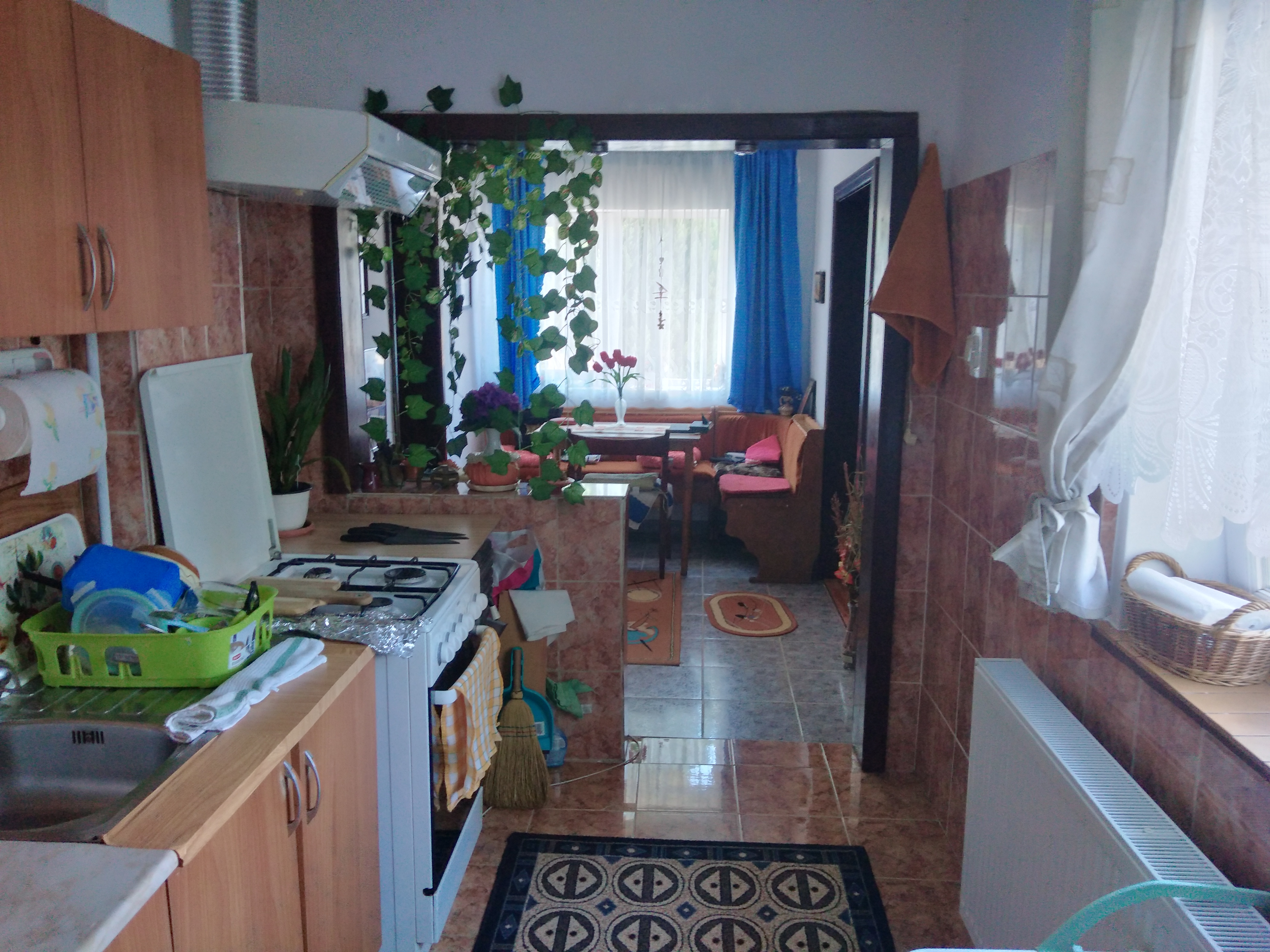 imobiliare timisoara