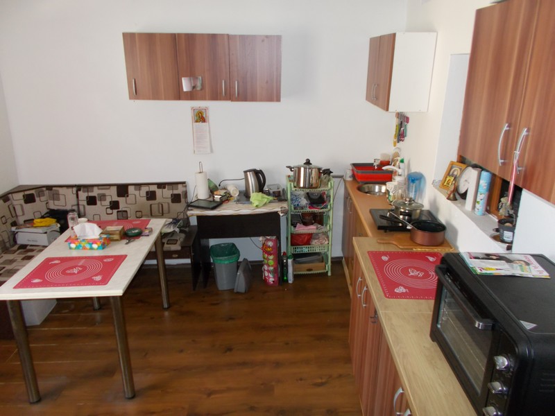 imobiliare timisoara