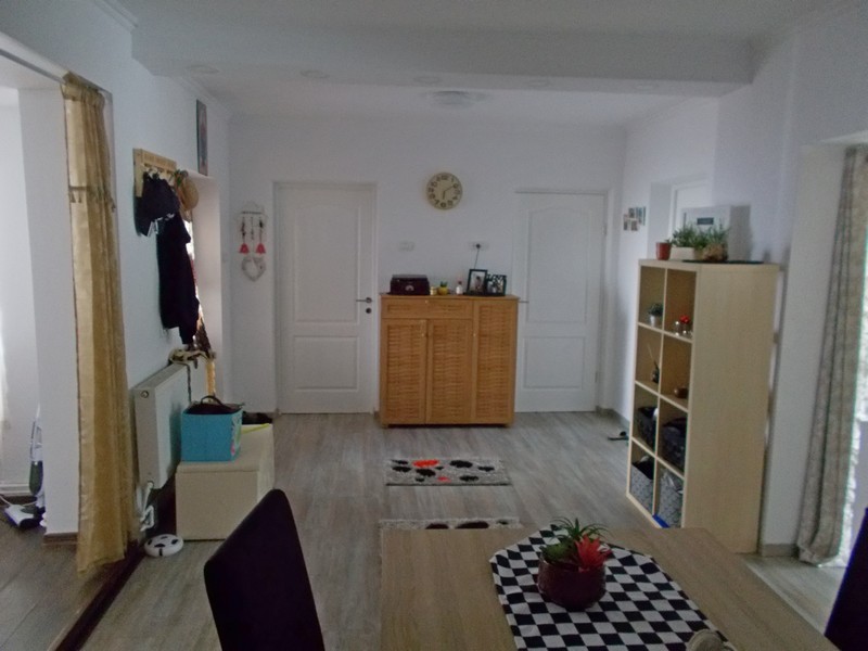 imobiliare timisoara