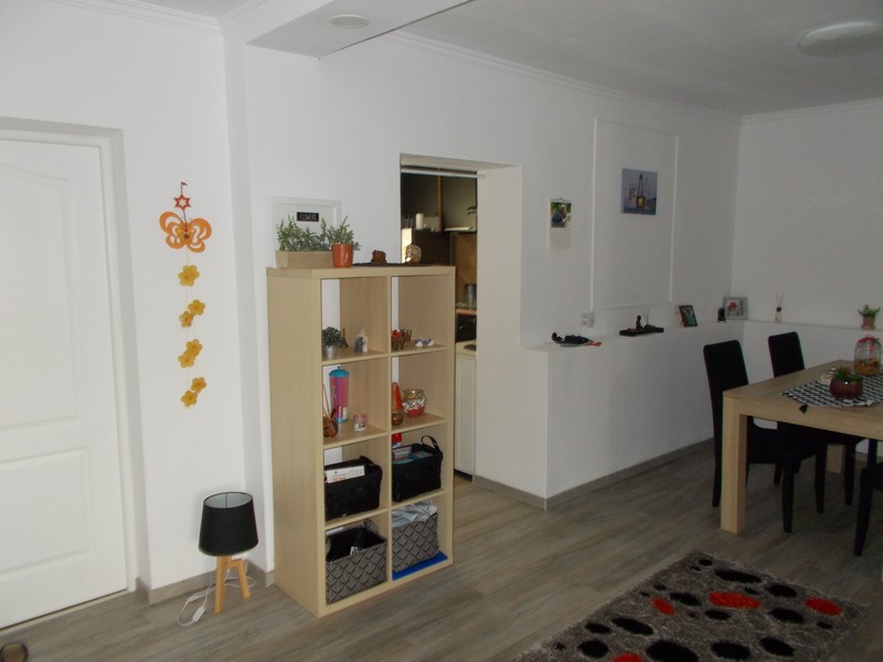 imobiliare timisoara