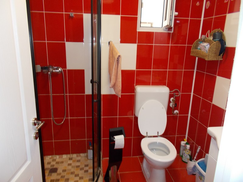 imobiliare timisoara