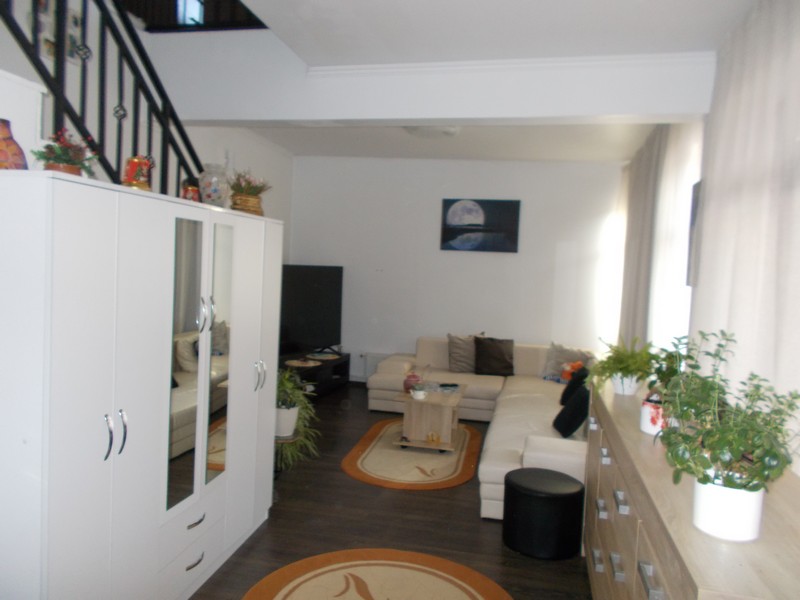 imobiliare timisoara