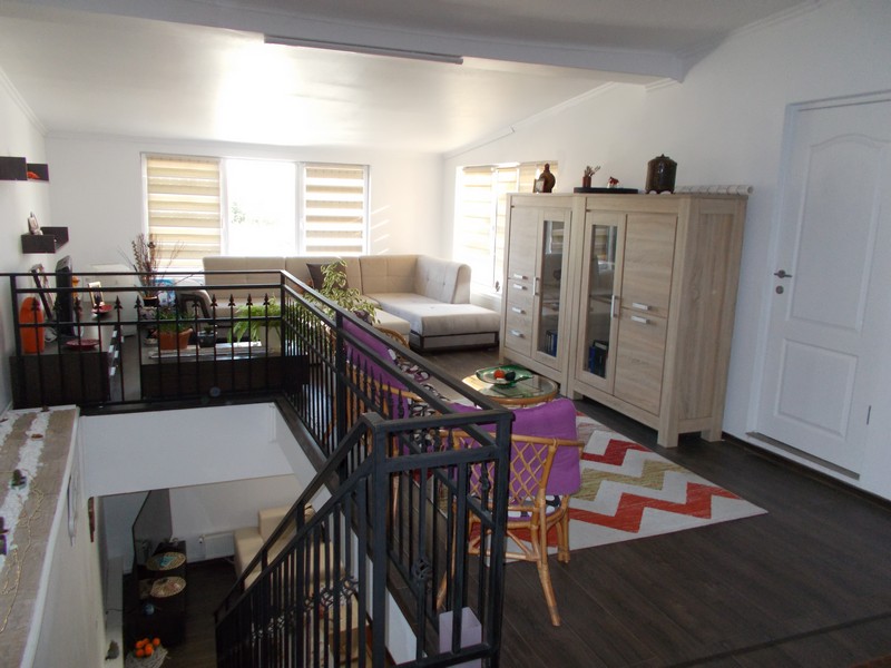 imobiliare timisoara