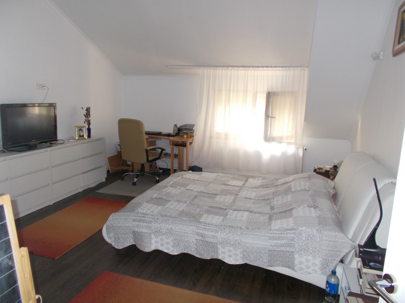imobiliare timisoara
