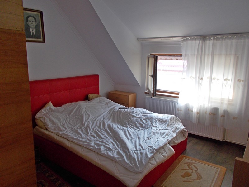 imobiliare timisoara