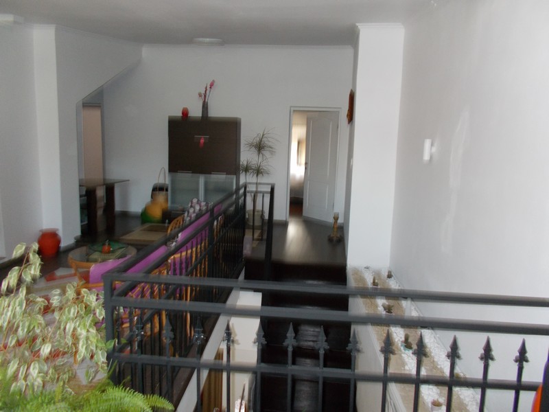 imobiliare timisoara