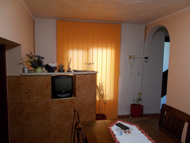 imobiliare timisoara