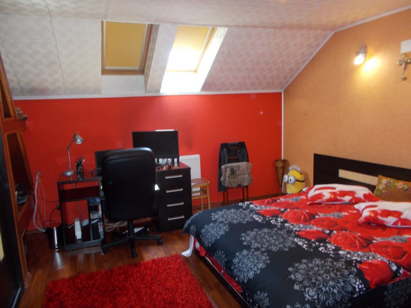 imobiliare timisoara
