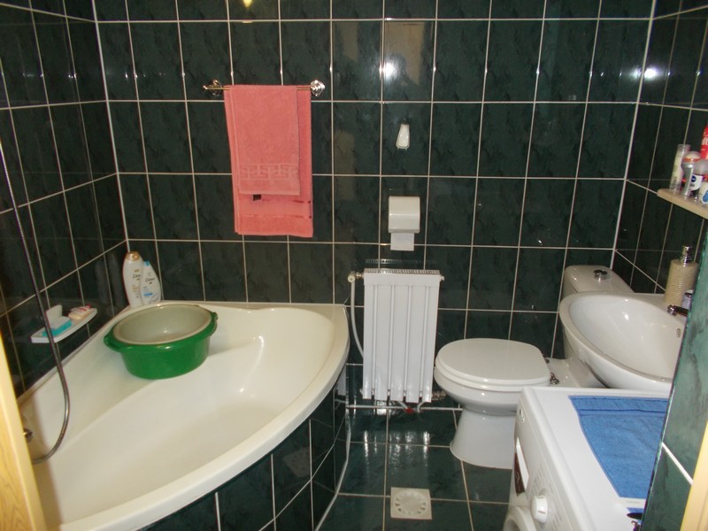 imobiliare timisoara