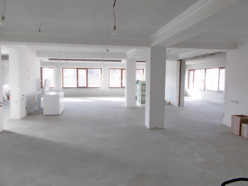 imobiliare timisoara