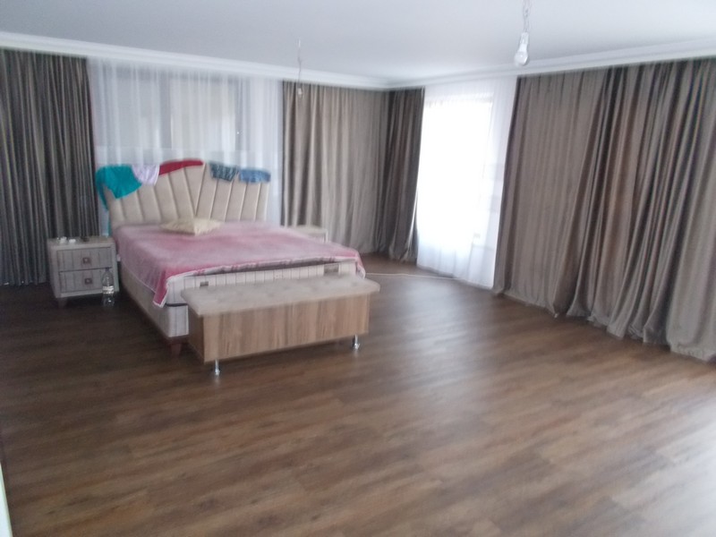 imobiliare timisoara