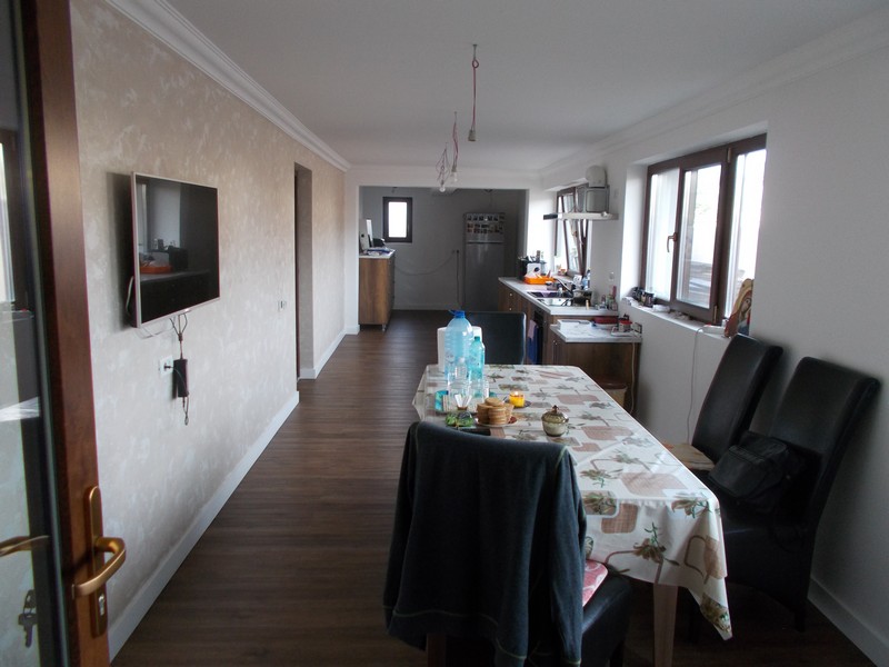 imobiliare timisoara