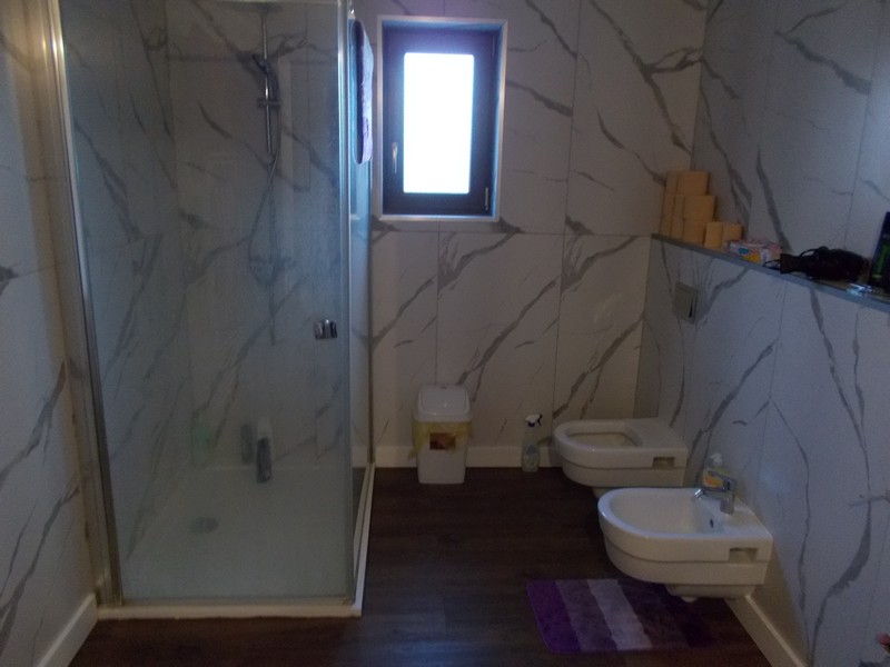 imobiliare timisoara