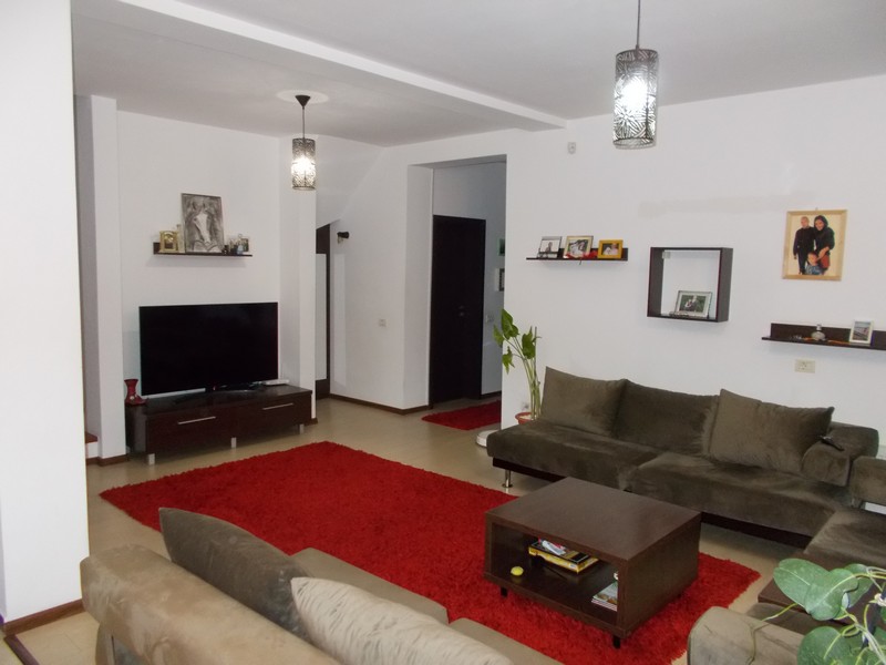 imobiliare timisoara