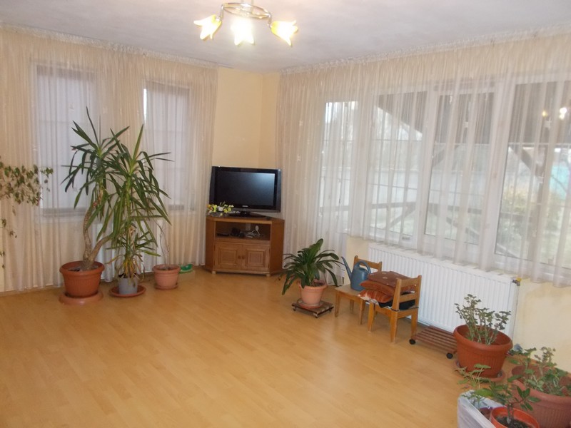 imobiliare timisoara