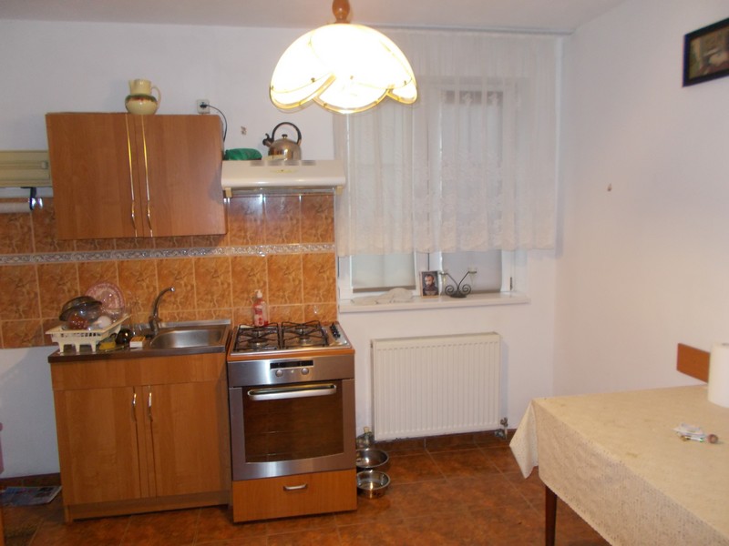 imobiliare timisoara