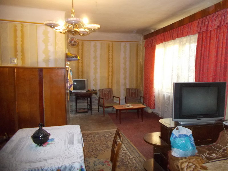 imobiliare timisoara
