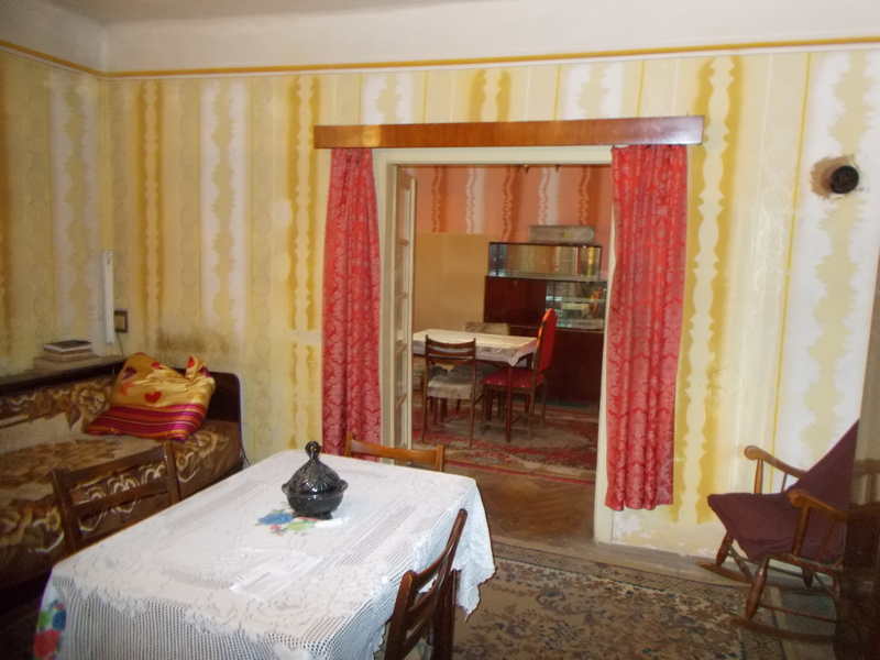 imobiliare timisoara