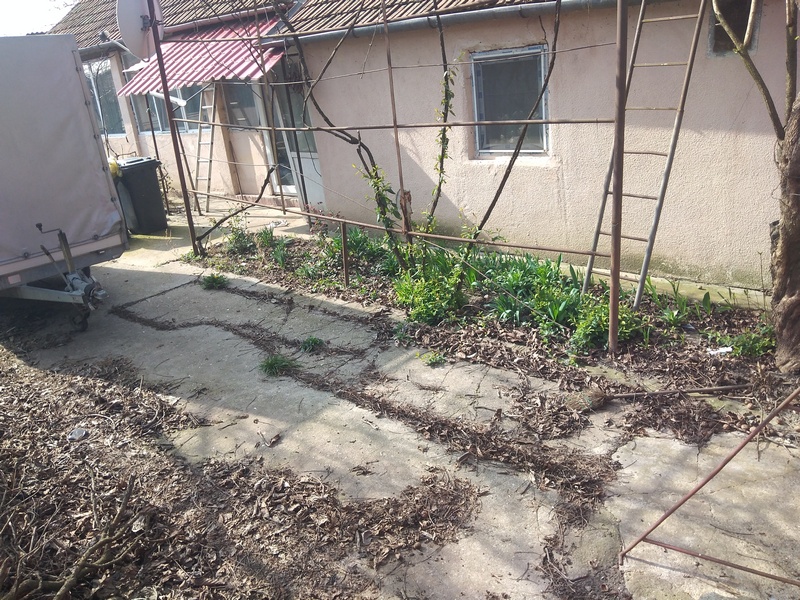 imobiliare timisoara