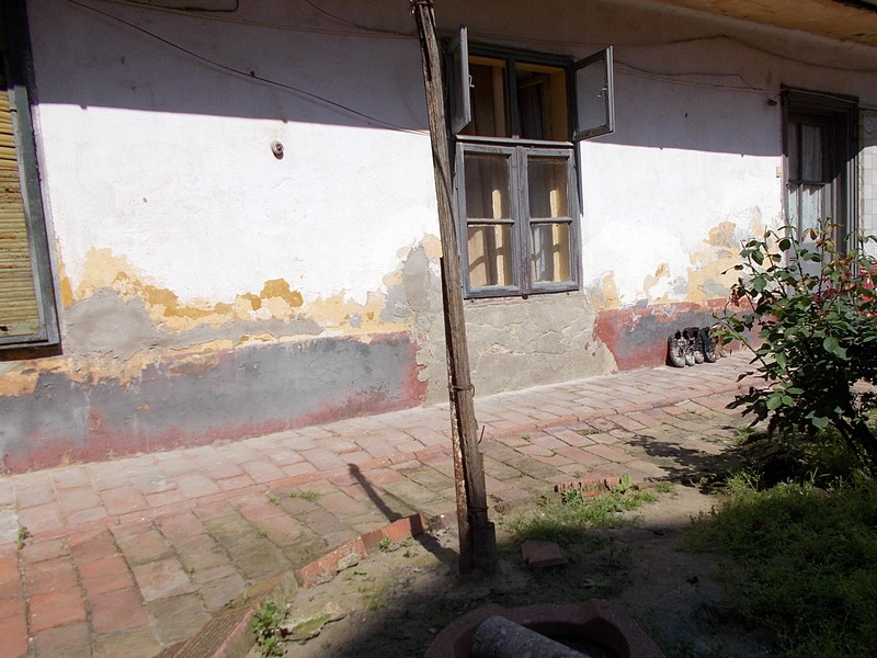 imobiliare timisoara